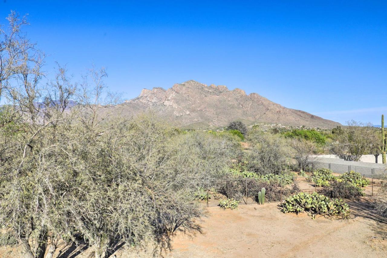 Oro Valley Retreat With Pool, Spa And Rooftop Views! Exteriér fotografie